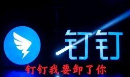 高州最新抖音爆料新闻,揭秘当地热点事件背后的真相