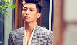 成毅恋情最新爆料图片视频,甜蜜瞬间图片视频集锦