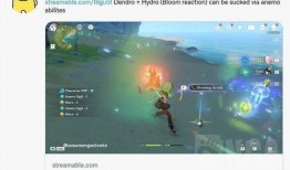 原神须弥最新武器爆料图,神秘力量觉醒，探索未知领域