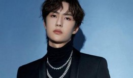 王一博天涯最新爆料,揭秘明星背后的真实故事