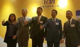 飞鹤最新爆料新闻视频大全,揭秘视频大全背后的真相与内幕